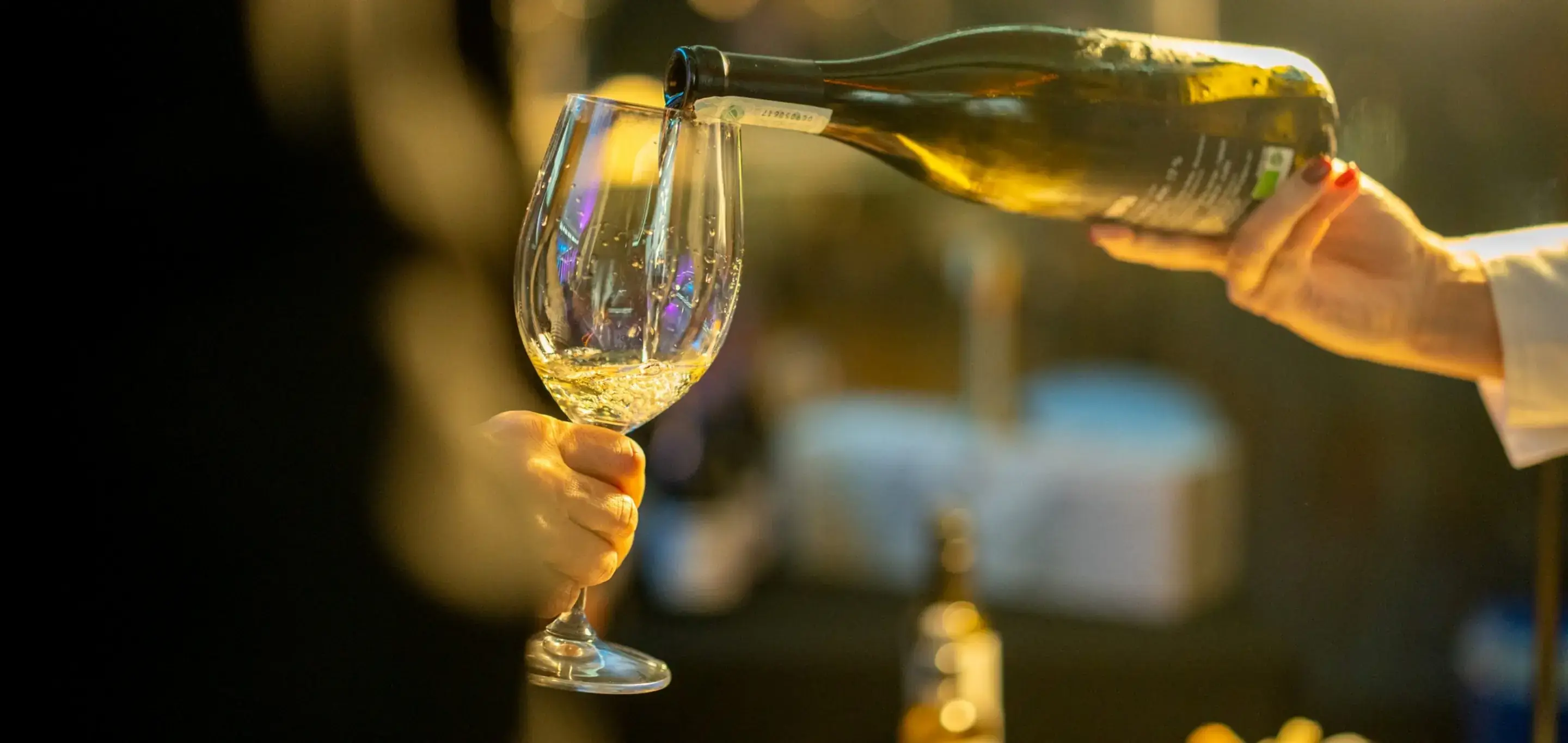 Fina Vina najavljuju sezonu vrhunskih vinskih događaja!