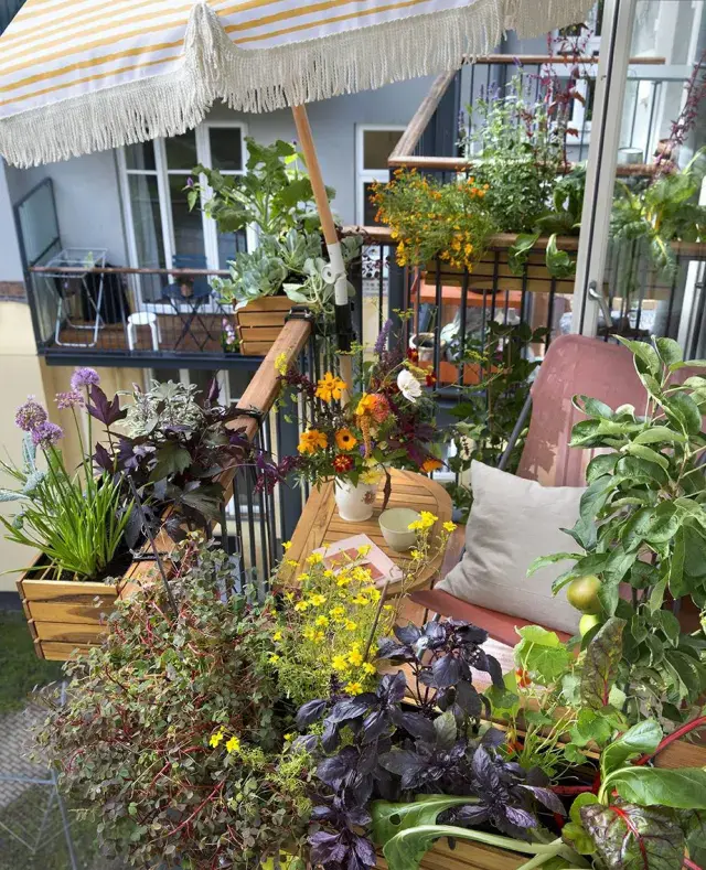 bonjour_ba_francuski_balkon_1_02 (1)