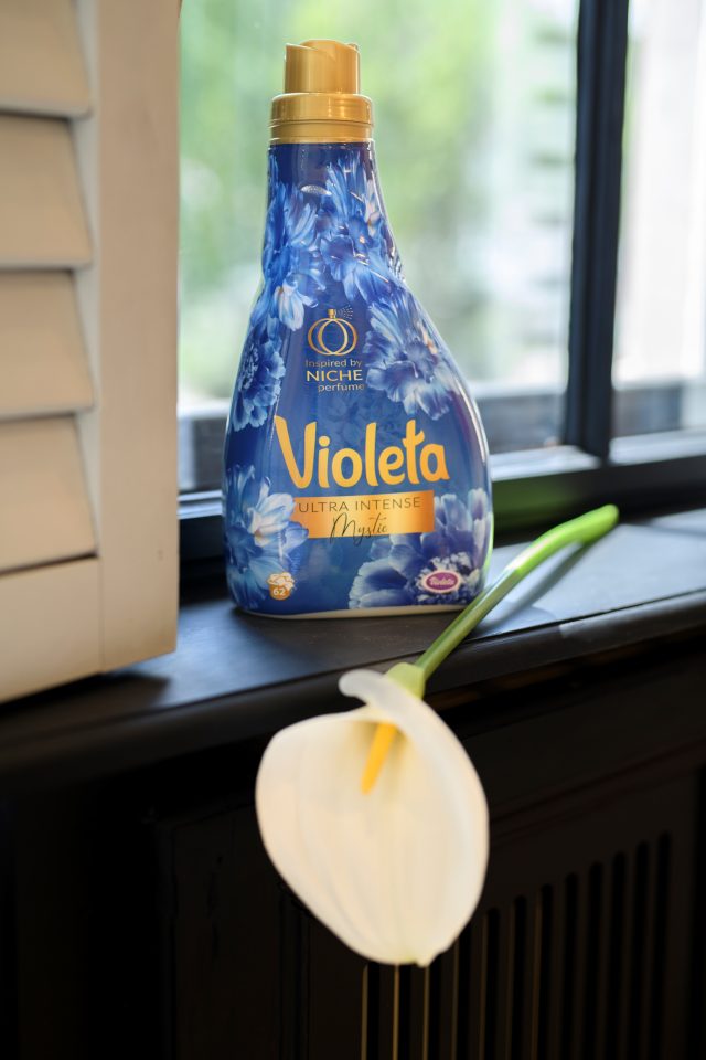 bonjour_ba_violeta_024