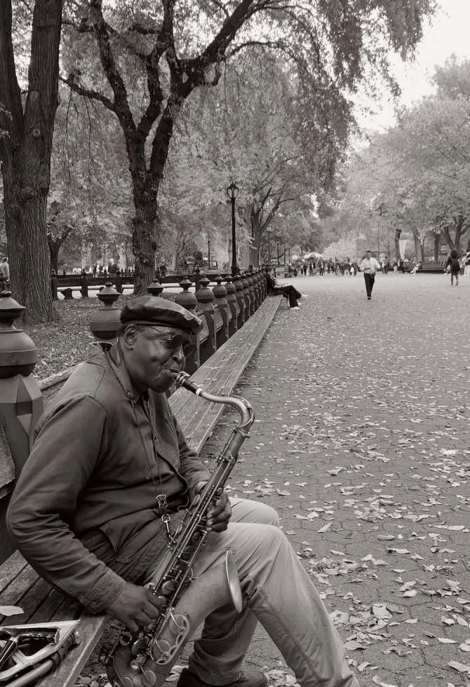 bonjour_ba_berina_hasanbegovic_new_york_NIMG_2973