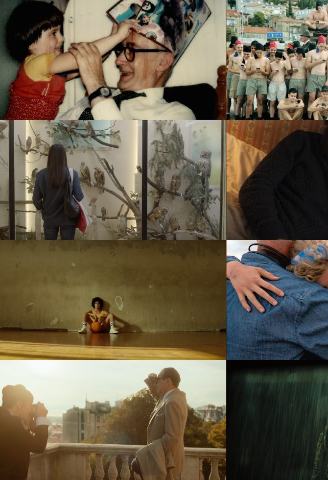 AFA nagrade: Ovo su nominovani filmovi i serije iz regije koje trebate pogledati
