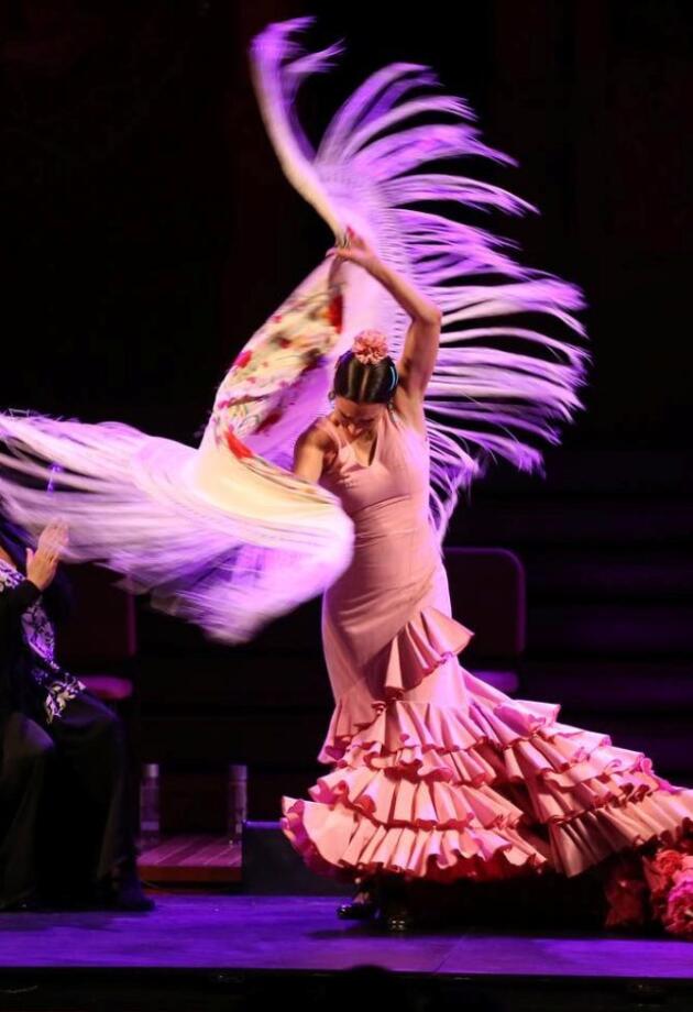 Oktobar u Sarajevu donosi bh. umjetnika sa flamenco majstorima iz Španije