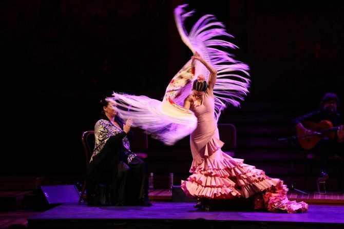 bonjour_ba_gran_gran_flamenco_N2