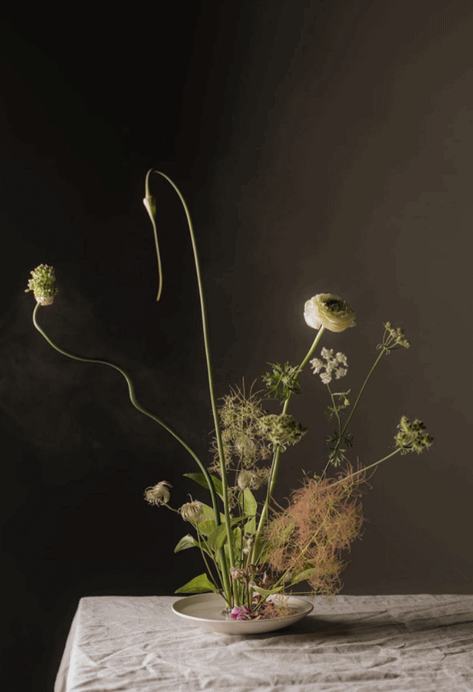 bonjour_ba_ikebana_hm_vaza_g2