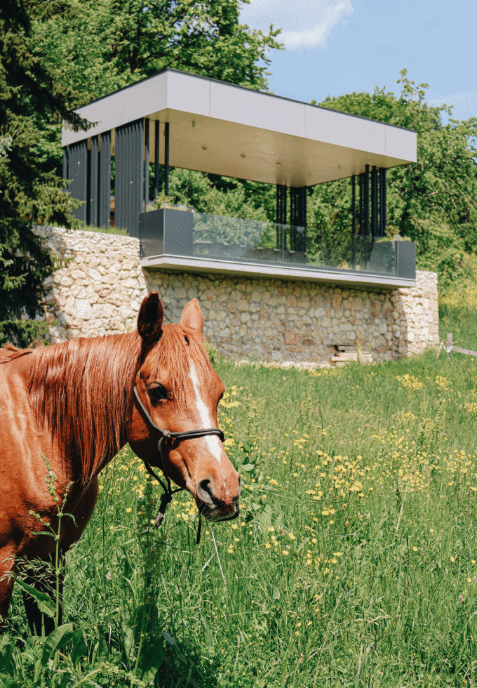 bonjour_ba_Nedžla_potogija_pavilion_hidalgo_G_2