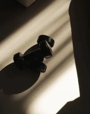 Zašto odustajete od treninga u 14 dana: fitness trener Ilhan otkriva tajnu.