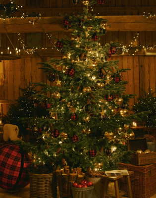 Ralph Lauren blagdani: Kako postići taj nostalgični stil u domu čak i bez luksuznog budžeta?