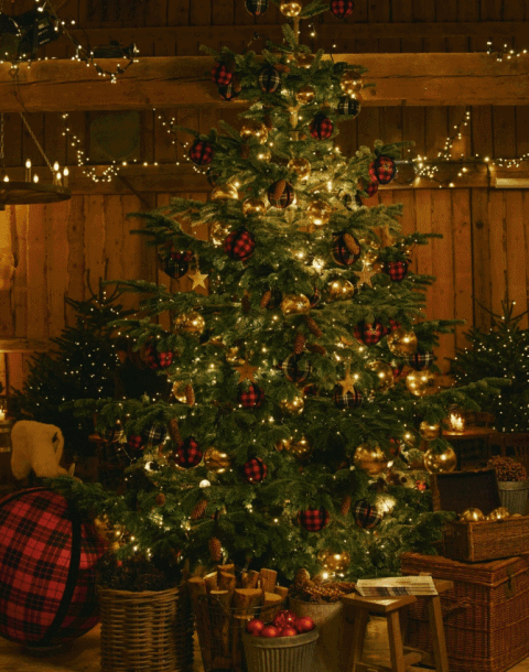 Ralph Lauren blagdani: Kako postići taj nostalgični stil u domu čak i bez luksuznog budžeta?