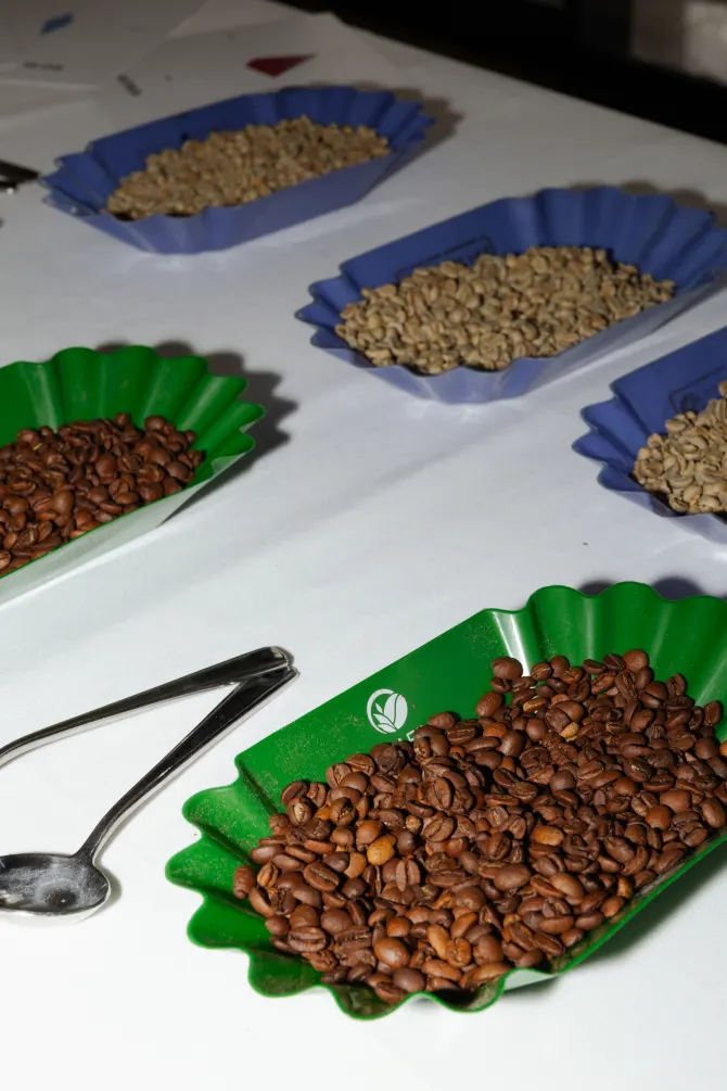 grand-kafa-iskustvo-3-bonjour-ba