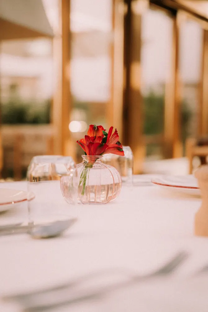 kiren-sarajevo-restoran-100-bonjour-ba