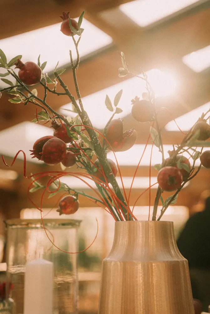 kiren-sarajevo-restoran-102-bonjour-ba