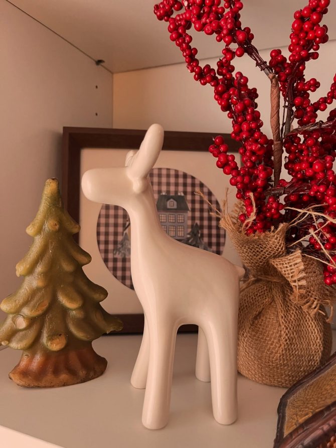 sabac_bih_stan_sanja_dekor_bonjour_ba_03