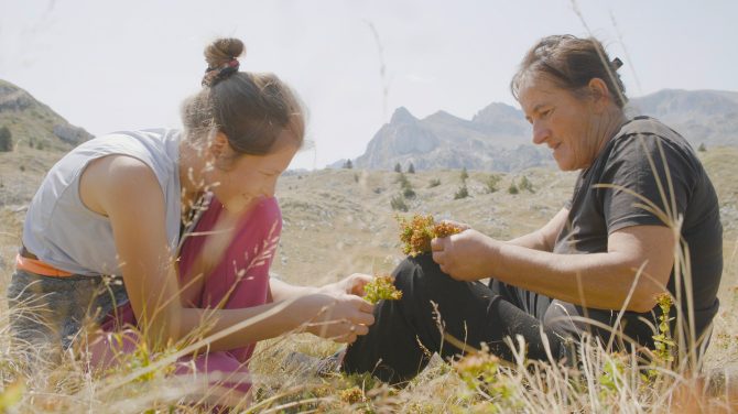 planina_sundance_film_festival_bih_bonjour_ba_1