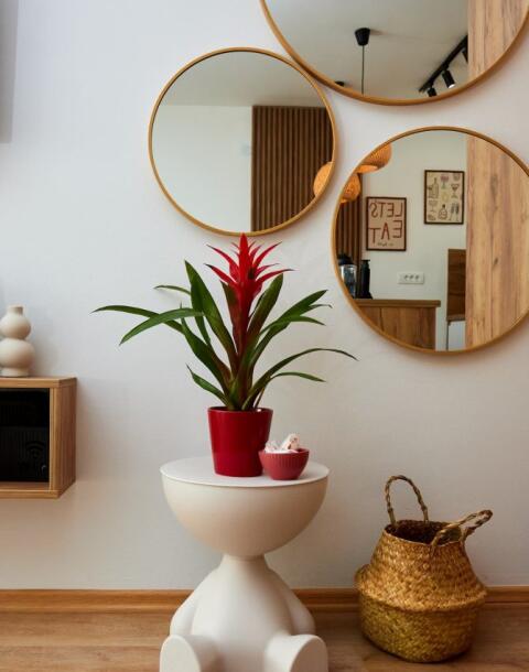 Primjer funkcionalnog interijera iz Zenice: Kako urediti garsonjeru da sve stane, a da izgleda dobro?