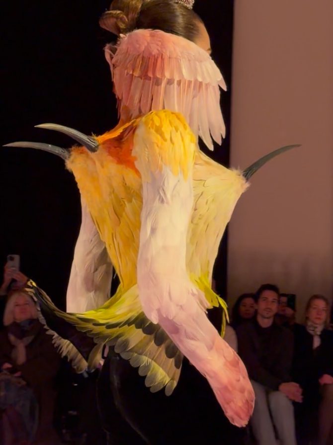 paris_fashion_week_schiaparelli_bonjour_ba_8