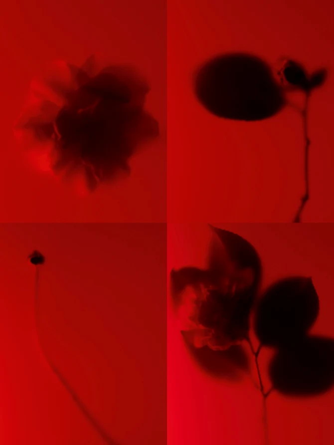 chanel-refining-youth-emulsion-6-bonjour-ba