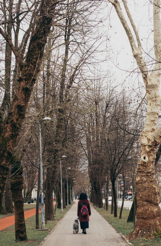 banja_luka_bih_desavanja_bonjour_ba_1-1