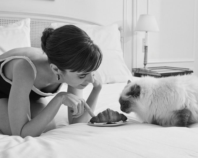 dorucak_u_tiffanyju_lily_collins_audrey_hepburn_bonjour_ba_2