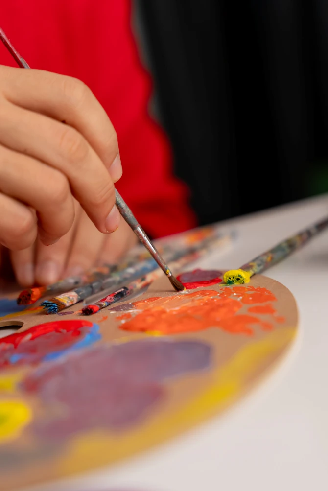 mirza-mustafagic-dm-zar-za-buducnost-8-bonjour-ba