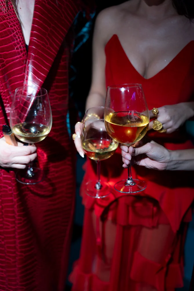 bonjour-x-via-media-gala-night-event-sarajevo409-bonjour-ba