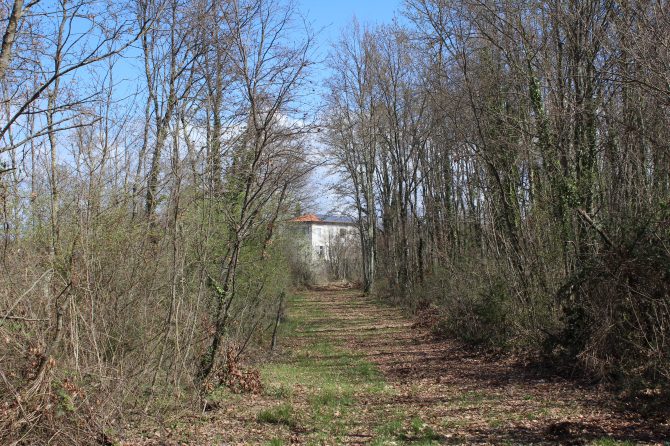 restauracija_skola_scvola_elementare_istra_bonjour_design_N6