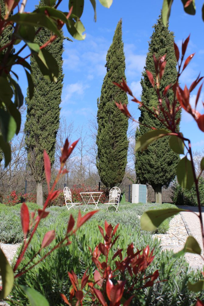 restauracija_skola_scvola_elementare_istra_bonjour_design_N7