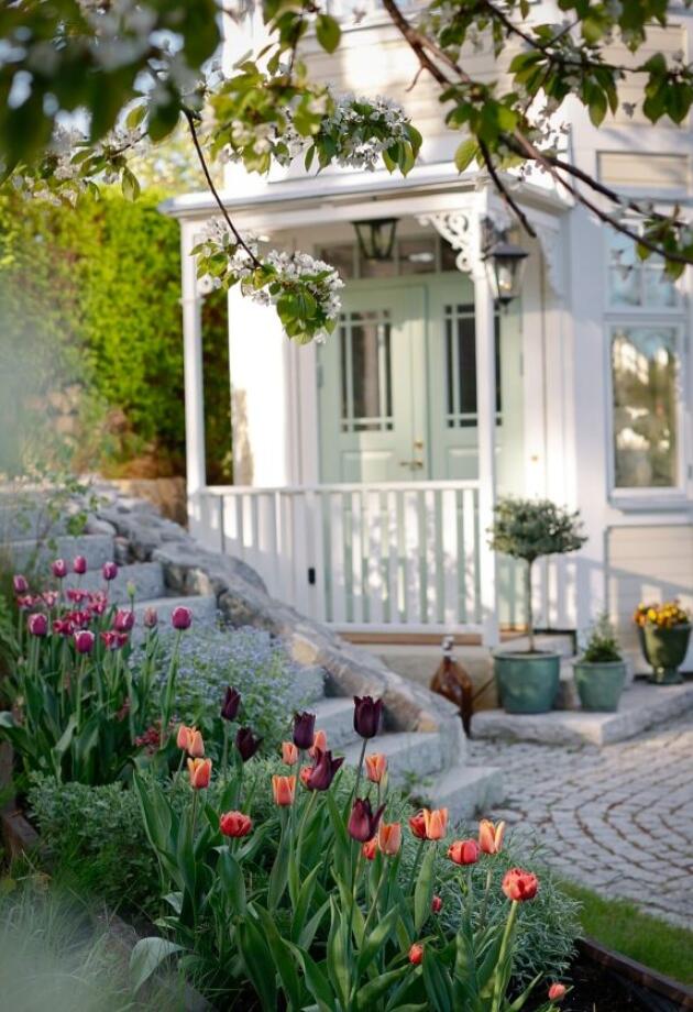 Banjaluka tulipani cvjetaju: Evo kako da uspiju i u vašem vrtu