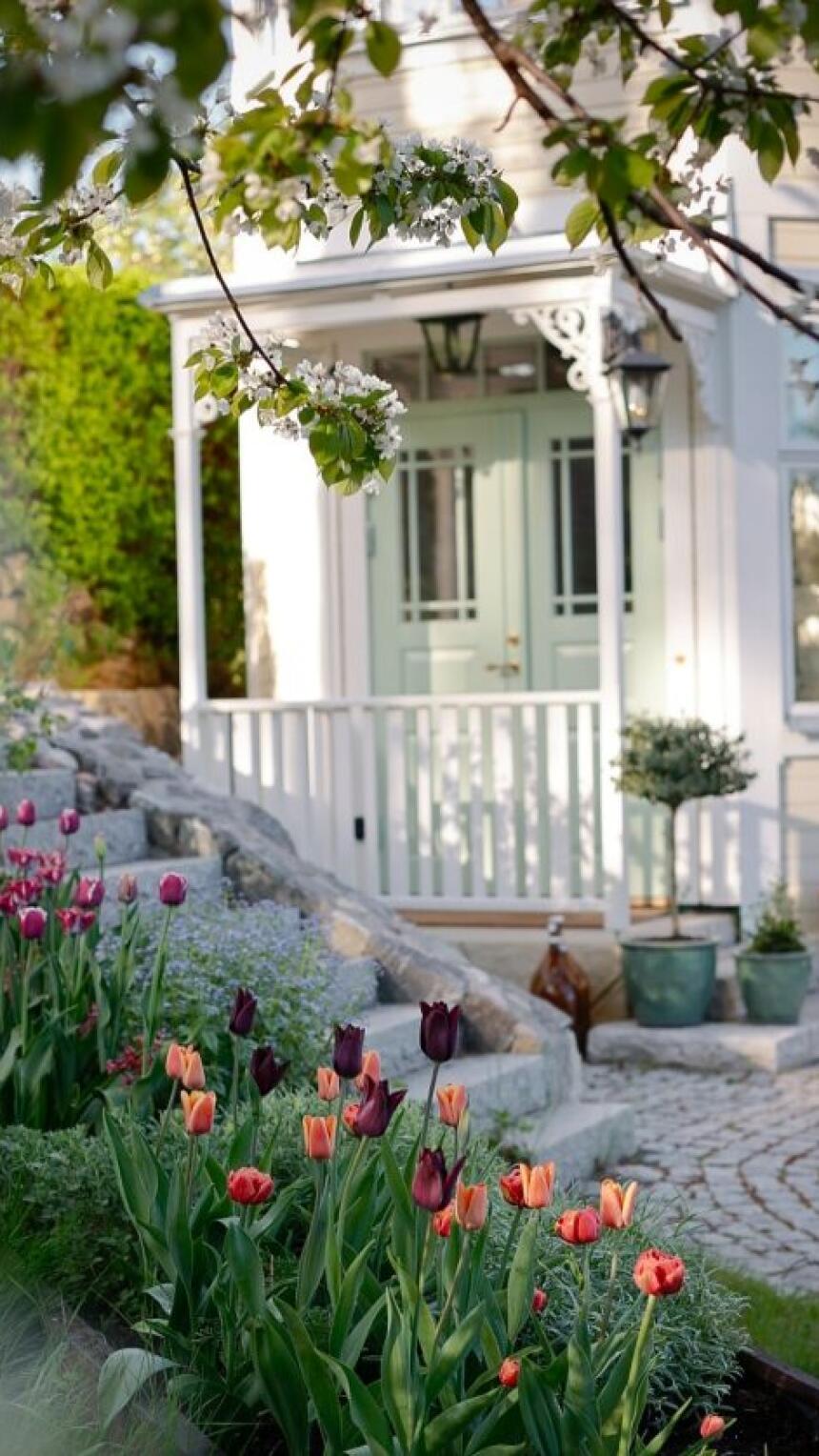 Banjaluka tulipani cvjetaju: Evo kako da uspiju i u vašem vrtu