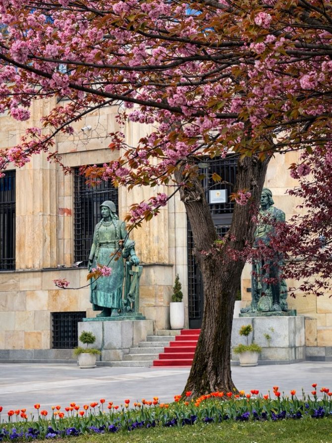 banja_luka_tulipan_bih_sadjenje_bonjour_design_3