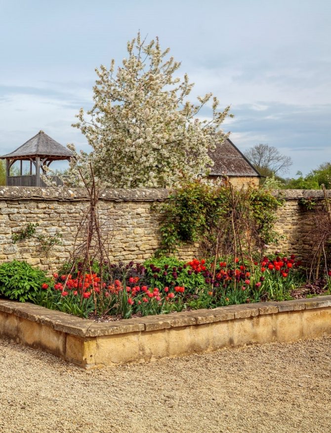 banja_luka_tulipan_bih_sadjenje_bonjour_design_6