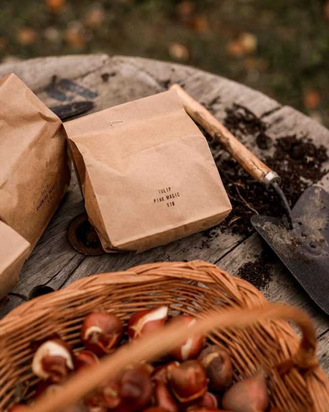 banja_luka_tulipan_bih_sadjenje_bonjour_design_9