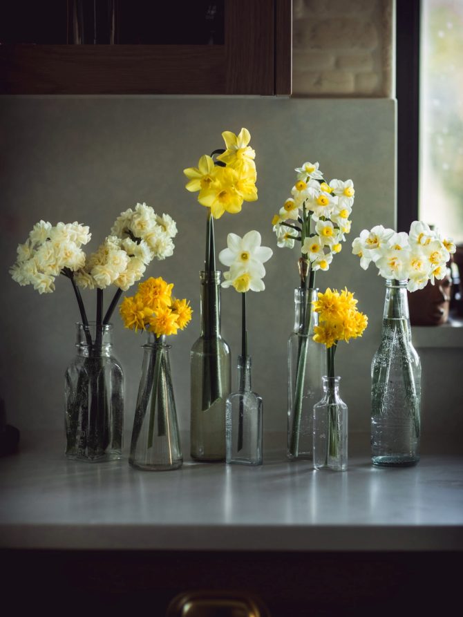 narcis_bih_cvijet_odrzavanje_balkon_bonjour_design_04