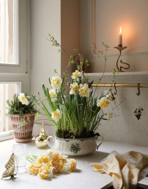 Trik za ljepši balkon: Proljetni cvijet koje kupite jednom, a vraća se svake godine