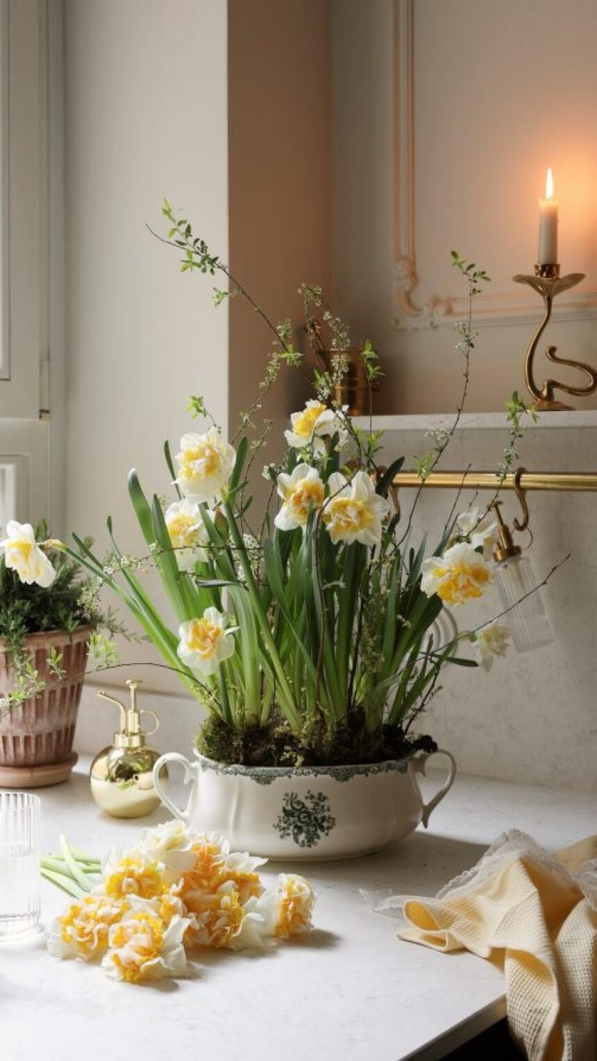 Trik za ljepši balkon: Proljetni cvijet koje kupite jednom, a vraća se svake godine