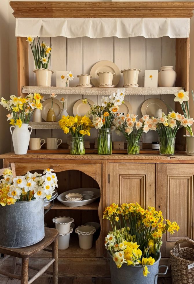 narcis_bih_cvijet_odrzavanje_balkon_bonjour_design_a1