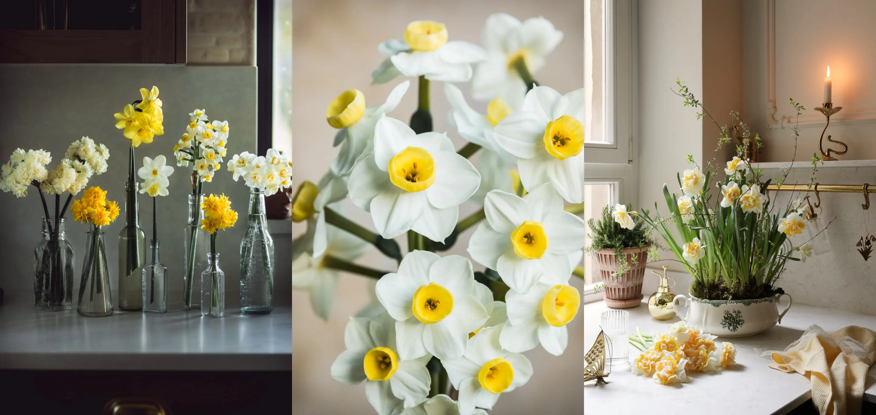 Trik za ljepši balkon: Proljetni cvijet koje kupite jednom, a vraća se svake godine