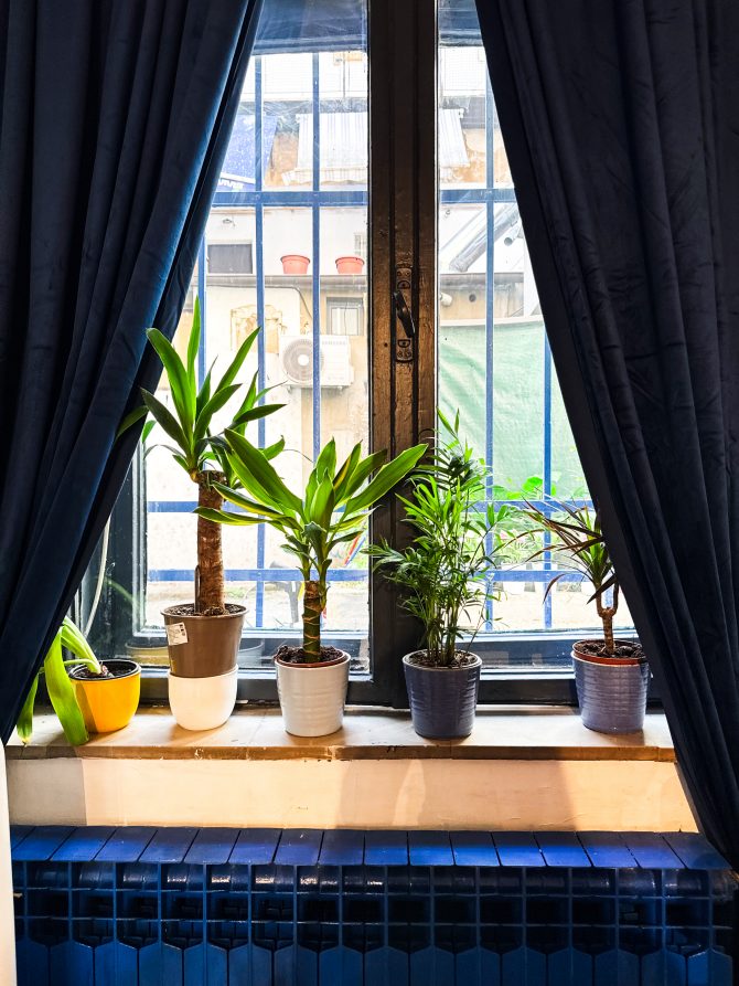 kexich_ferhadija_sarajevo_bih_bonjour_ba_4