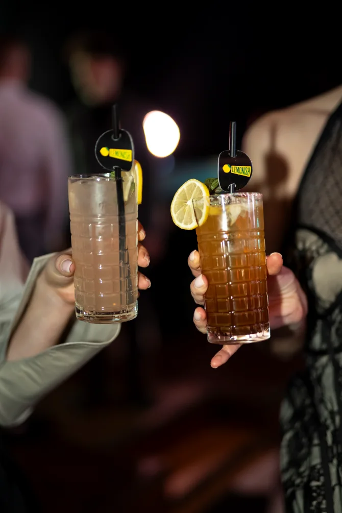 lemonish-koktel-mixer-1-bonjour-ba