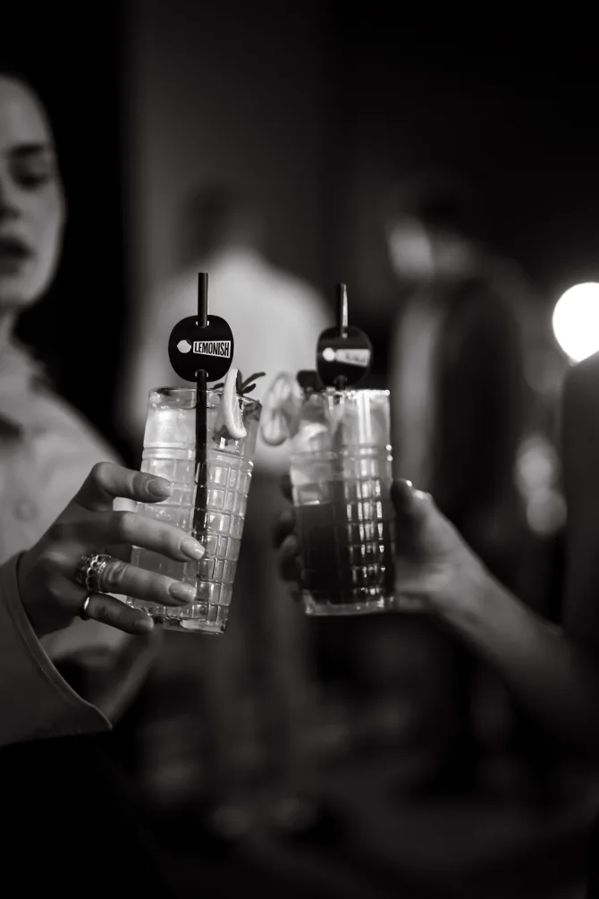 lemonish-koktel-mixer-2-bonjour-ba