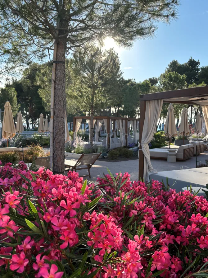 piscal-resort-poreč-otvorenje-bonjour-ba-13-bonjour-ba