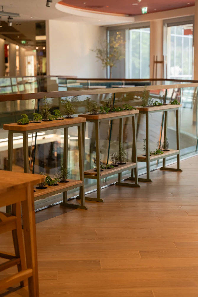 vapiano-sarajevo-otvorenje-65-bonjour-ba