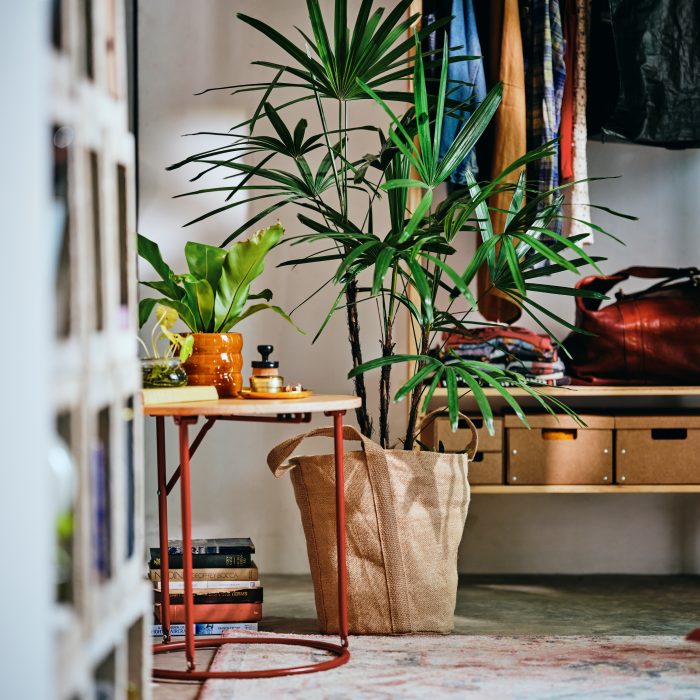 ikea-bih-kompishang-kolekcija-mali-stan-selidbe_bonjour_design_9