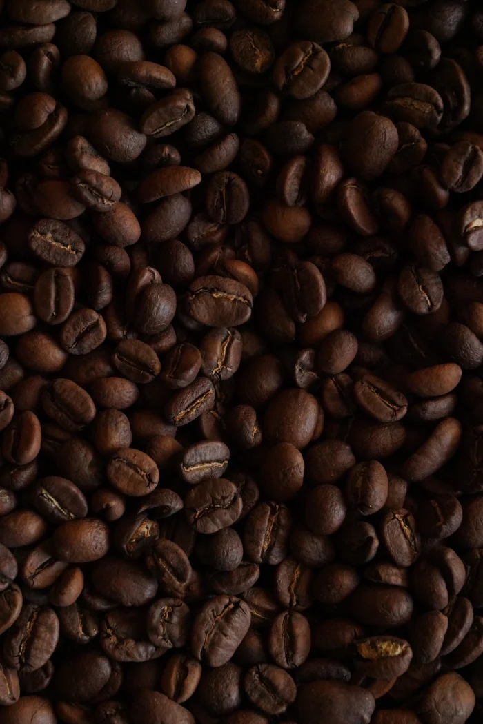 grand-kafa-priprema-2-bonjour-ba