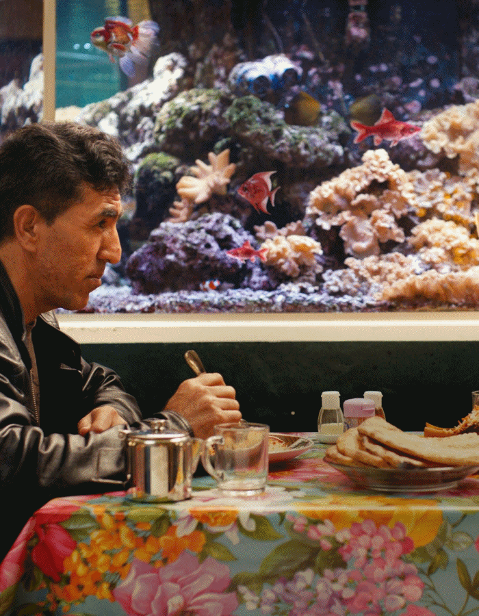 sarajevo_film_festival_tuzla_ljetno_kino_filmovi_bonjour_ba_G