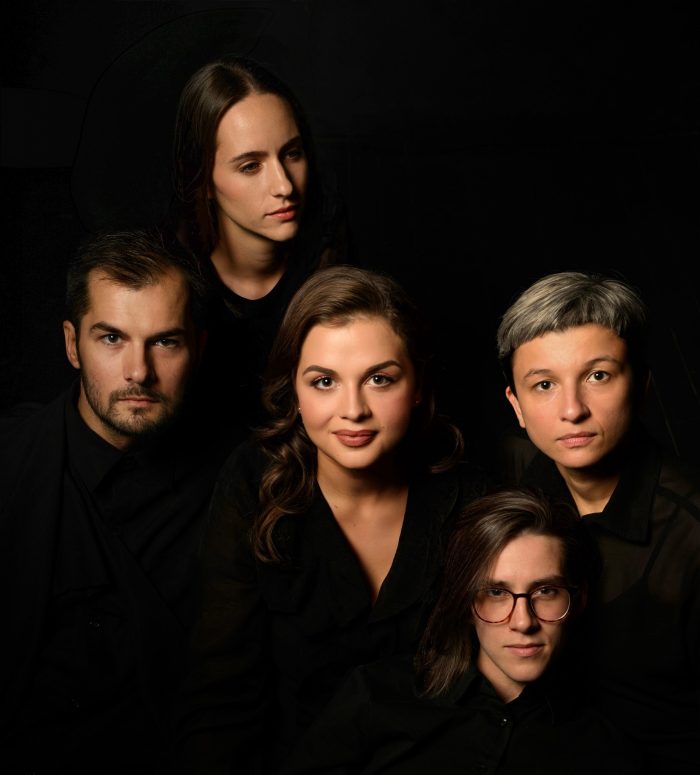 mirza-redzepagic-sa-sinfonietta-flamenko-koncerti-bih-bonjour-ba-2