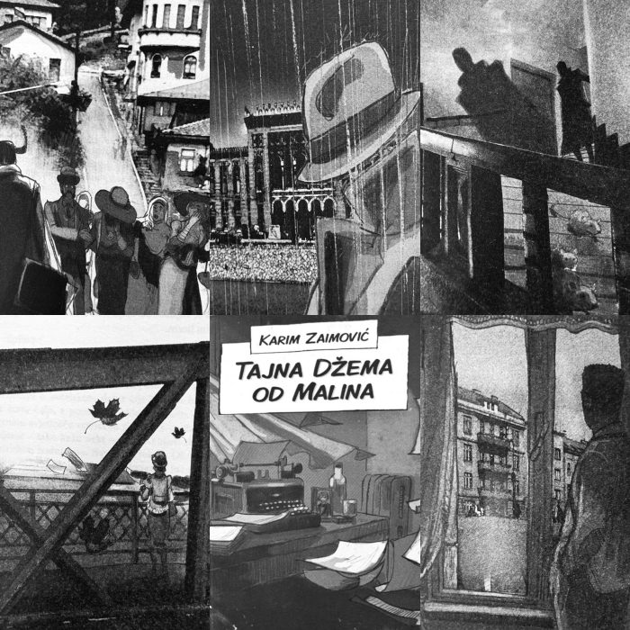 karim-zaimovic-tajna-dzema-od-malina-knjiga-bonjour-ba-a