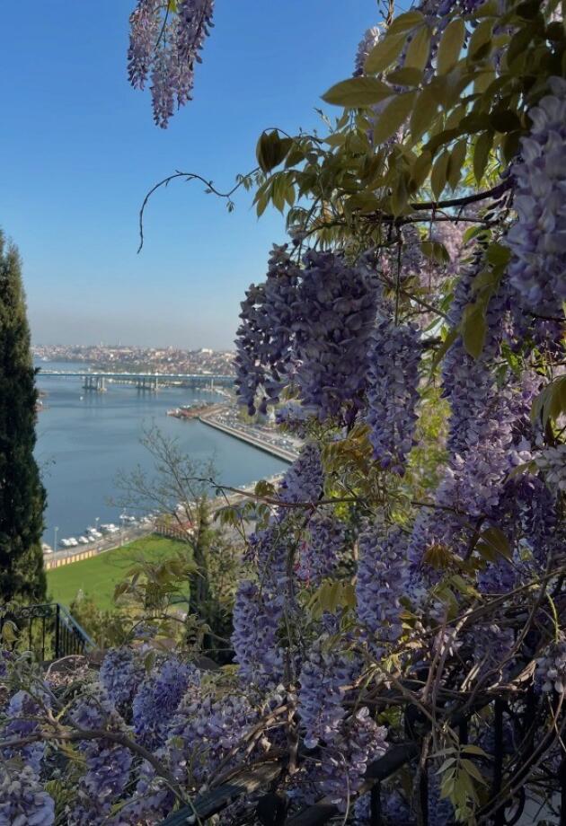 Letite iz Sarajeva za Istanbul? Ovaj kafe s pogledom na CIJELI grad morate vidjeti.