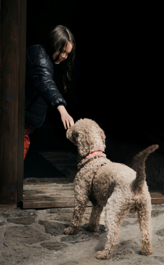 Bonjour_ba_10sarah_cerkez_bts_