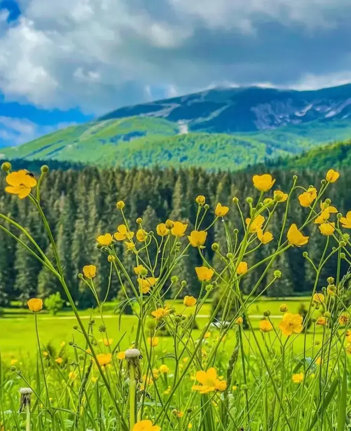 bonjour_ba20250707-092140igman_slike