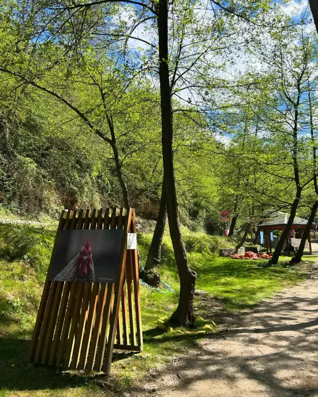 bonjour_ba20250710-120842-05visoko_ravne